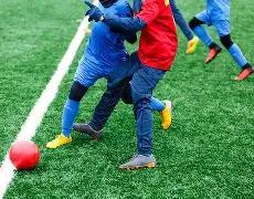 巴塞罗那赛,事宣布搁置,纳达尔蒂姆,海星体育直播在线,海星体育直播tv官网,海星体育直播app下载,海星体育直播平台