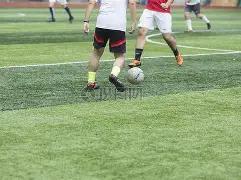 陈晨解读,全方位洞察,市场走势,海星体育直播在线,海星体育直播tv官网,海星体育直播app下载,海星体育直播平台