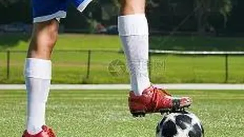 茂名体育赛事助力城市高品质发展