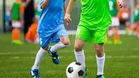 海星体育直播平台 资讯 133608 6oy