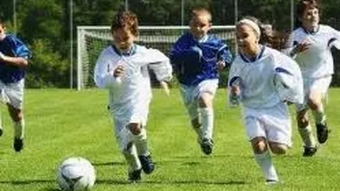 海星体育直播平台 资讯 103044 bdf