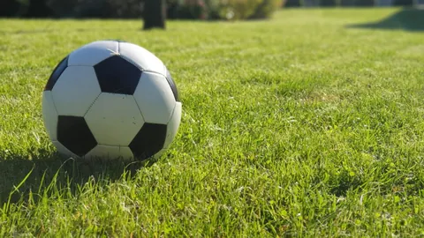 海星体育直播平台 资讯 105314 aem